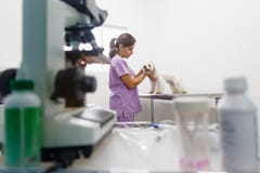Veterinary Visit In Clinic With Vet And Sick Dog Stock Photography Veterinary Visit In Clinic With Vet And Sick Dog Stock Photography
