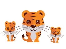 Vetor bonito do tigre em um fundo branco ilustração royalty free Vetor bonito do tigre em um fundo branco ilustração royalty free