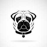 Vetor do projeto da cara do cão do pug no fundo branco, animal de estimação animais Foto de Stock Royalty Free Vetor do projeto da cara do cão do pug no fundo branco, animal de estimação animais Foto de Stock Royalty Free