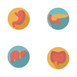 Vetor liso moderno dos ícones ajustado com efeito de sombra longo em cores à moda dos órgãos humanos de sistema digestivo ilustração stock Vetor liso moderno dos ícones ajustado com efeito de sombra longo em cores à moda dos órgãos humanos de sistema digestivo ilustração stock