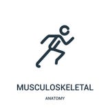 vetor osteomuscular do ícone da coleção da anatomia Linha fina ilustração osteomuscular do vetor do ícone do esboço r ilustração royalty free vetor osteomuscular do ícone da coleção da anatomia Linha fina ilustração osteomuscular do vetor do ícone do esboço r ilustração royalty free