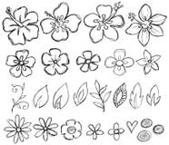 Vetor tropical do Doodle esboçado ilustração do vetor Vetor tropical do Doodle esboçado ilustração do vetor