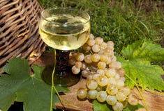 Vetro di vino bianco fotografia stock libera da diritti Vetro di vino bianco fotografia stock libera da diritti