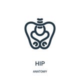 vettore dell'icona dell'anca dalla raccolta di anatomia Linea sottile illustrazione di vettore dell'icona del profilo dell'anca S royalty illustrazione gratis vettore dell'icona dell'anca dalla raccolta di anatomia Linea sottile illustrazione di vettore dell'icona del profilo dell'anca S royalty illustrazione gratis