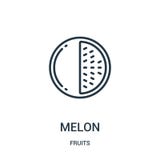 vettore dell'icona del melone dalla raccolta di frutti Linea sottile illustrazione di vettore dell'icona del profilo del melone S illustrazione vettoriale vettore dell'icona del melone dalla raccolta di frutti Linea sottile illustrazione di vettore dell'icona del profilo del melone S illustrazione vettoriale