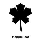 Vettore dell'icona della foglia di Mapple isolato su fondo bianco, conce di logo illustrazione vettoriale Vettore dell'icona della foglia di Mapple isolato su fondo bianco, conce di logo illustrazione vettoriale