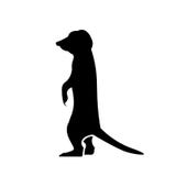 Vettore dell'icona di Meerkat illustrazione di stock Vettore dell'icona di Meerkat illustrazione di stock