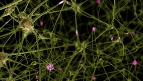 Viaggi attraverso una rete delle cellule e delle sinapsi di un neurone nel cervello attraverso cui gli impulsi e gli scarichi ele Viaggi attraverso una rete delle cellule e delle sinapsi di un neurone nel cervello attraverso cui gli impulsi e gli scarichi ele