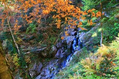 Viaggio alle cascate di Mendelikh, foresta profonda, cascata fotografie stock Viaggio alle cascate di Mendelikh, foresta profonda, cascata fotografie stock