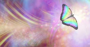 Transformation and spiritual release concept