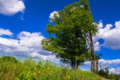 Sunny landscape of the countryside in the beginning of summer. stock photo Sunny landscape of the countryside in the beginning of summer. stock photo