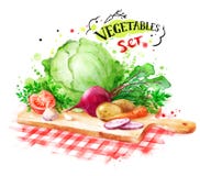 Vida dibujada mano de la acuarela aún con las verduras stock de ilustración Vida dibujada mano de la acuarela aún con las verduras stock de ilustración
