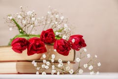 Vida inmóvil del vintage con los tulipanes rojos de una primavera y libros en un fondo beige El día de madre, concepto del día de fotos de archivo libres de regalías Vida inmóvil del vintage con los tulipanes rojos de una primavera y libros en un fondo beige El día de madre, concepto del día de fotos de archivo libres de regalías