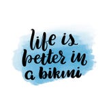 A vida ? melhor no biquini ilustração do vetor A vida ? melhor no biquini ilustração do vetor