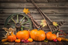 Vida otoñal de la acción de gracias aún con las calabazas imágenes de archivo libres de regalías Vida otoñal de la acción de gracias aún con las calabazas imágenes de archivo libres de regalías