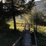 Vida quieta nos Carpathians ucranianos imagem de stock Vida quieta nos Carpathians ucranianos imagem de stock