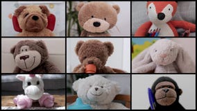Video of teddy bear video conference