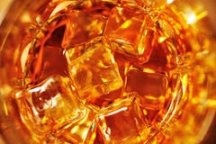 Vidrio de whisky con cierre del hielo para arriba imagenes de archivo Vidrio de whisky con cierre del hielo para arriba imagenes de archivo