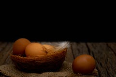 Vie-oeufs toujours sur le nid disposé dans une scène noire, concept de nourriture image stock Vie-oeufs toujours sur le nid disposé dans une scène noire, concept de nourriture image stock