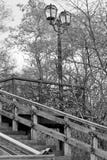 Vieil escalier Vieil escalier en bois avec des ?l?ments de fer travaill? Vieille ?chelle en parc Ville Tchernigov histoire photos libres de droits Vieil escalier Vieil escalier en bois avec des ?l?ments de fer travaill? Vieille ?chelle en parc Ville Tchernigov histoire photos libres de droits