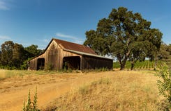 Vieille grange avec des arbres et des vignobles dans le pays de vin de Plymouth la Californie images libres de droits Vieille grange avec des arbres et des vignobles dans le pays de vin de Plymouth la Californie images libres de droits