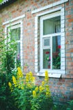 Vieille maison rustique de brique avec de hautes fleurs jaunes dans le géranium de jardin, de blanc, rose et rouge dans des pots Photographie stock libre de droits Vieille maison rustique de brique avec de hautes fleurs jaunes dans le géranium de jardin, de blanc, rose et rouge dans des pots Photographie stock libre de droits