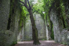 Vieille ruine d'église hantée par une sorcière photos stock Vieille ruine d'église hantée par une sorcière photos stock