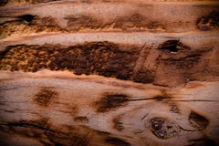 Vieille table ou conseil en bois pour le fond L'espace pour le texte toned Photographie stock Vieille table ou conseil en bois pour le fond L'espace pour le texte toned Photographie stock