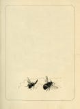 Vieille vignette sale âgée de page de feuille de papier de livre, l'espace d'isolement de copie de fond de cadre illustration de vecteur Vieille vignette sale âgée de page de feuille de papier de livre, l'espace d'isolement de copie de fond de cadre illustration de vecteur