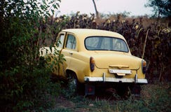 Vieille voiture beige Il est dans la forêt, sur la route de champ Vue arrière Il y a pièce pour une plaque minéralogique photographie stock Vieille voiture beige Il est dans la forêt, sur la route de champ Vue arrière Il y a pièce pour une plaque minéralogique photographie stock
