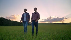 Viejo hijo feliz del padre y del adulto que sonríe y que camina en el campo del trigo o del centeno, puesta del sol hermosa en fo Viejo hijo feliz del padre y del adulto que sonríe y que camina en el campo del trigo o del centeno, puesta del sol hermosa en fo