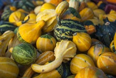 Viele Kürbise auf einem Landwirtmarkt stockbild Viele Kürbise auf einem Landwirtmarkt stockbild