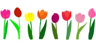 Viele sch?nen bunten Tulpen mit den Bl?ttern lokalisiert auf einem transparenten Hintergrund Foto-realistische Maschenvektorillus lizenzfreie abbildung Viele sch?nen bunten Tulpen mit den Bl?ttern lokalisiert auf einem transparenten Hintergrund Foto-realistische Maschenvektorillus lizenzfreie abbildung