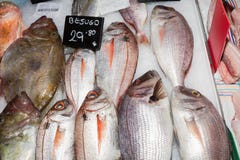 Vielzahl der frischen Fische für Verkauf am Meeresfrüchtemarkt, Palma, Mallorca Stockfotos Vielzahl der frischen Fische für Verkauf am Meeresfrüchtemarkt, Palma, Mallorca Stockfotos