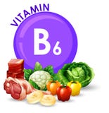 Vielzahl von verschiedenen Nahrungsmitteln mit Vitamin B6 stock abbildung Vielzahl von verschiedenen Nahrungsmitteln mit Vitamin B6 stock abbildung
