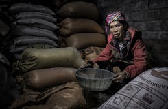 Vietnam modell fotografering för bildbyråer Vietnam modell fotografering för bildbyråer