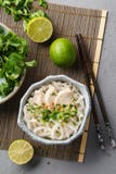 Vietnamese soep Pho GA met kip, rijstnoedels en kruiden stock afbeeldingen Vietnamese soep Pho GA met kip, rijstnoedels en kruiden stock afbeeldingen