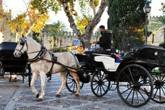 Vieux chariot dans une rue à Cordoue images stock Vieux chariot dans une rue à Cordoue images stock
