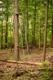 Vieux support d'arbre de chasseur profondément dans la forêt au bord de la traînée de jeu photos stock Vieux support d'arbre de chasseur profondément dans la forêt au bord de la traînée de jeu photos stock