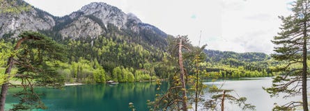 View of the Alpsee lake near the Neuschwanstein castle in Bavaria stock photography View of the Alpsee lake near the Neuschwanstein castle in Bavaria stock photography