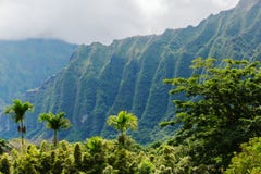 Botanical Garden At Kaneohe Oahu Hawaii Stock Image Image Of