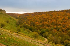View of a bright autumn orange forest from a hill on a cloudy da royalty free stock photos View of a bright autumn orange forest from a hill on a cloudy da royalty free stock photos