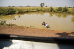 The view from the bus window as an Indian woman bathing in the dirty lake of the big bull royalty free stock image The view from the bus window as an Indian woman bathing in the dirty lake of the big bull royalty free stock image
