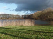 View of a Dutch lake surrounded by reeds and trees. Under an overcast sky Stock Photography View of a Dutch lake surrounded by reeds and trees. Under an overcast sky Stock Photography