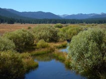 View From Hike Of Martis Creek Lake, Near Truckee Stock Photo View From Hike Of Martis Creek Lake, Near Truckee Stock Photo