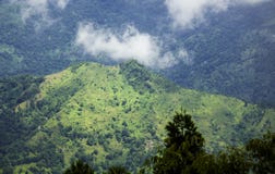 A view of green hills from shelpu hills, West Bengal royalty free stock photos A view of green hills from shelpu hills, West Bengal royalty free stock photos