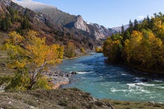 View of Katun River in Altai Mountains, Russia. Nature. Royalty Free Stock Image View of Katun River in Altai Mountains, Russia. Nature. Royalty Free Stock Image