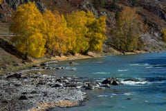 View of Katun River in Altai Mountains, Russia. Nature. Royalty Free Stock Image View of Katun River in Altai Mountains, Russia. Nature. Royalty Free Stock Image