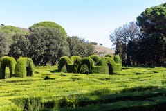 View of a maze of green hedges