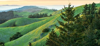 Panorama of rolling green and yellow hills with fog in background. stock image Panorama of rolling green and yellow hills with fog in background. stock image